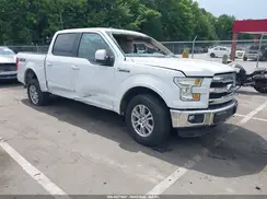 1FTEW1EF4GFB30409 2016 FORD F-150