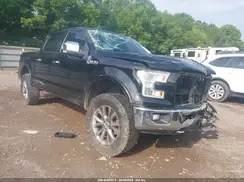 1FTEW1EF4GFB74846 2016 FORD F-150