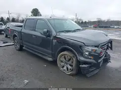 1FTEW1EF4GFD21649 2016 FORD F-150