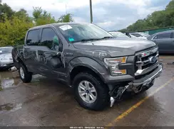 1FTEW1EF4GKE94515 2016 FORD F-150
