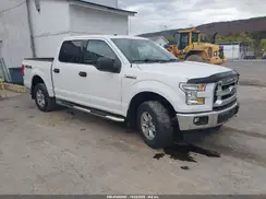 1FTEW1EF4HFB81913 2017 FORD F-150