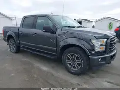 1FTEW1EF4HFB93253 2017 FORD F-150