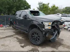 1FTEW1EF5HFA10099 2017 FORD F-150