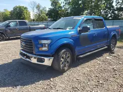 1FTEW1EF5HFA95509 2017 FORD F-150
