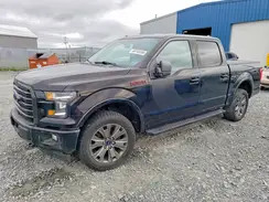 1FTEW1EF5HFB95576 2017 FORD F-150