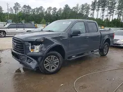 1FTEW1EF6GFD31681 2016 FORD F-150