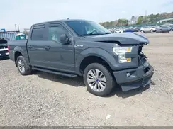 1FTEW1EF6HFA49784 2017 FORD F-150