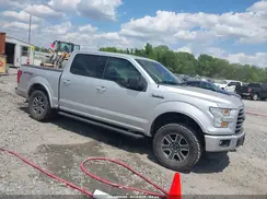 1FTEW1EF7GFB74999 2016 FORD F-150