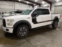 1FTEW1EF7GFB77319 2016 FORD F-150