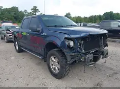 1FTEW1EF7GFB95030 2016 FORD F-150