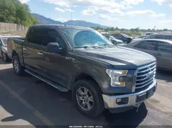 1FTEW1EF7GFC09007 2016 FORD F-150