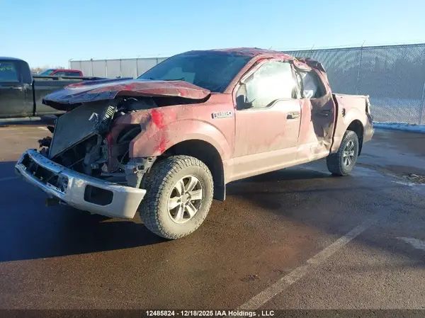 1FTEW1EF7GFD04909 2016 FORD F-150 - Image 2