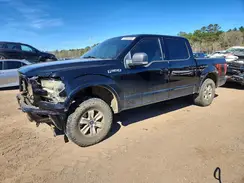 1FTEW1EF7GKD51865 2016 FORD F-150