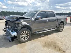 1FTEW1EF7HFA19077 2017 FORD F-150