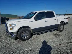 1FTEW1EF7HFA67355 2017 FORD F-150