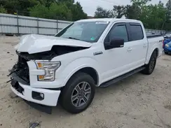 1FTEW1EF7HFB19065 2017 FORD F-150