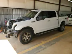 1FTEW1EF7HFB19504 2017 FORD F-150