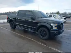 1FTEW1EF7HFB21043 2017 FORD F-150