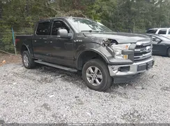 1FTEW1EF7HFB48050 2017 FORD F-150