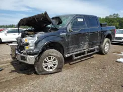 1FTEW1EF7HFB53832 2017 FORD F-150