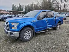 1FTEW1EF8GFA03260 2016 FORD F-150