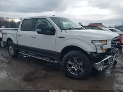 1FTEW1EF8GFA10094 2016 FORD F-150