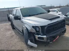 1FTEW1EF8GFA25095 2016 FORD F-150