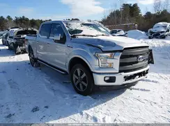 1FTEW1EF8GFB17324 2016 FORD F-150