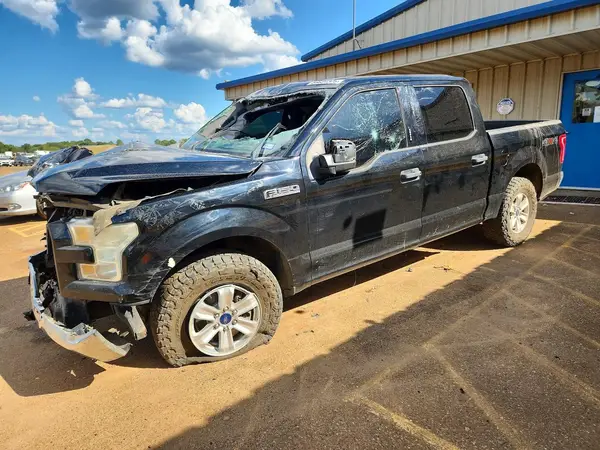 1FTEW1EF8GKE99216 2016 FORD F-150 - Image 1