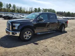 1FTEW1EF8HFA29925 2017 FORD F-150