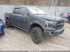 1FTEW1EF9GFB86667 2016 FORD F-150