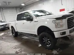 1FTEW1EF9GFC62825 2016 FORD F-150
