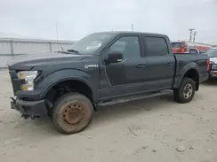 1FTEW1EF9HFA15497 2017 FORD F-150
