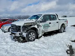 1FTEW1EF9HFB96634 2017 FORD F-150