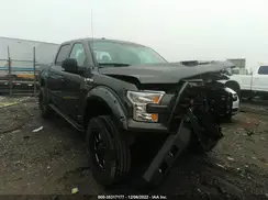 1FTEW1EFXGFA49480 2016 FORD F-150