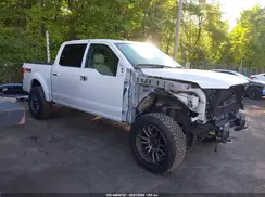 1FTEW1EFXGFB22332 2016 FORD F-150