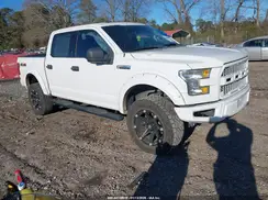 1FTEW1EFXGFC60629 2016 FORD F-150