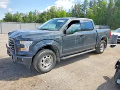 1FTEW1EFXGFD05956 2016 FORD F-150