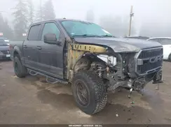 1FTEW1EFXGKD00781 2016 FORD F-150