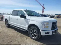 1FTEW1EFXHFB45515 2017 FORD F-150