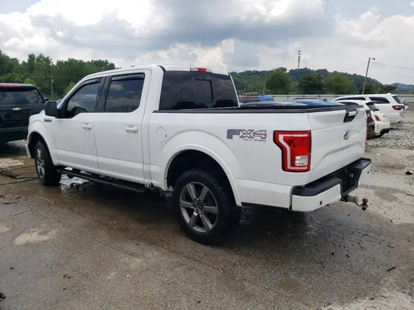 1FTEW1EFXHKD51392 2017 FORD F-150 - Image 2