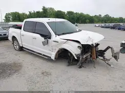 1FTEW1EG0GFA45348 2016 FORD F-150