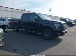 1FTEW1EG0GFC49390 2016 FORD F-150