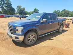 1FTEW1EG0GFD07613 2016 FORD F-150