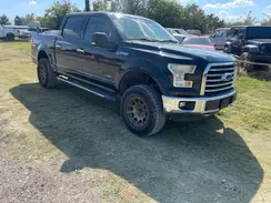 1FTEW1EG0GKE30691 2016 FORD F-150