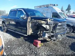 1FTEW1EG0GKE47846 2016 FORD F-150