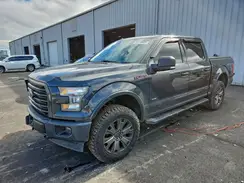 1FTEW1EG0HFB36203 2017 FORD F-150