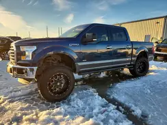1FTEW1EG0HFB60114 2017 FORD F-150