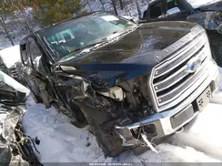 1FTEW1EG0HFB84509 2017 FORD F-150