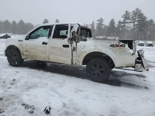 1FTEW1EG0HFC21266 2017 FORD F-150 - Image 2